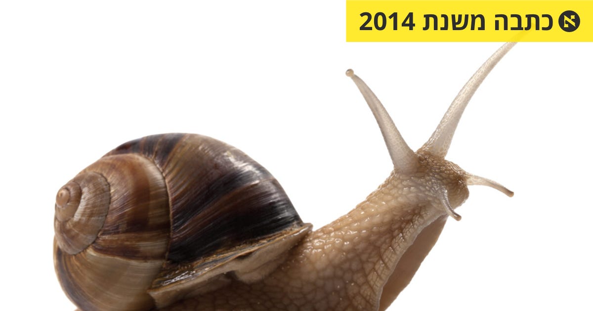 איזו מין מלה זאת