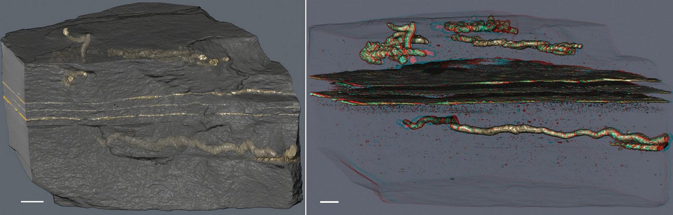 Something on Earth Was Moving 2.1 Billion Years Ago - Science & Health - Vimarsana News