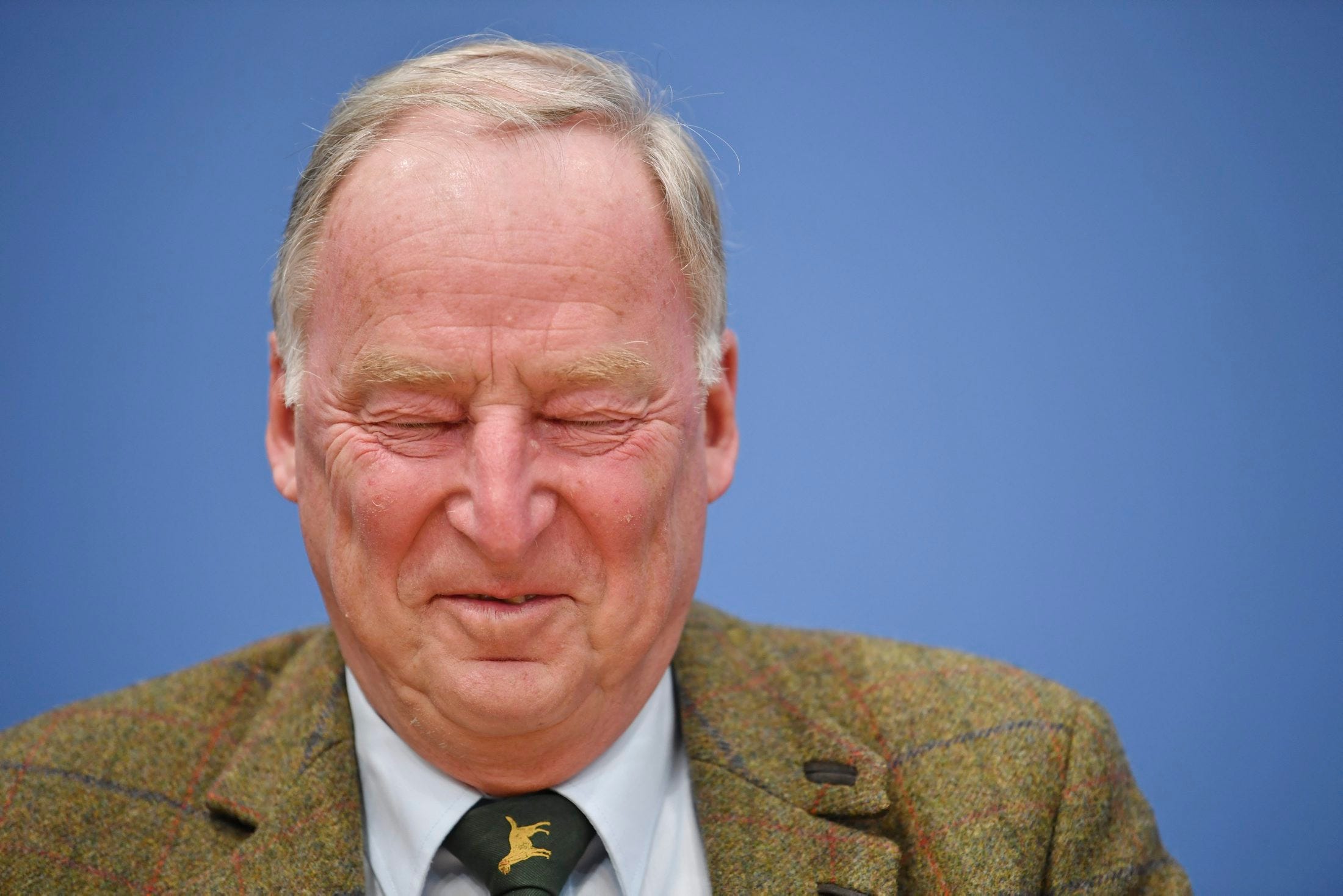 Analysis • Why Germany's far-right party is reconsidering the country's relationship with Israel