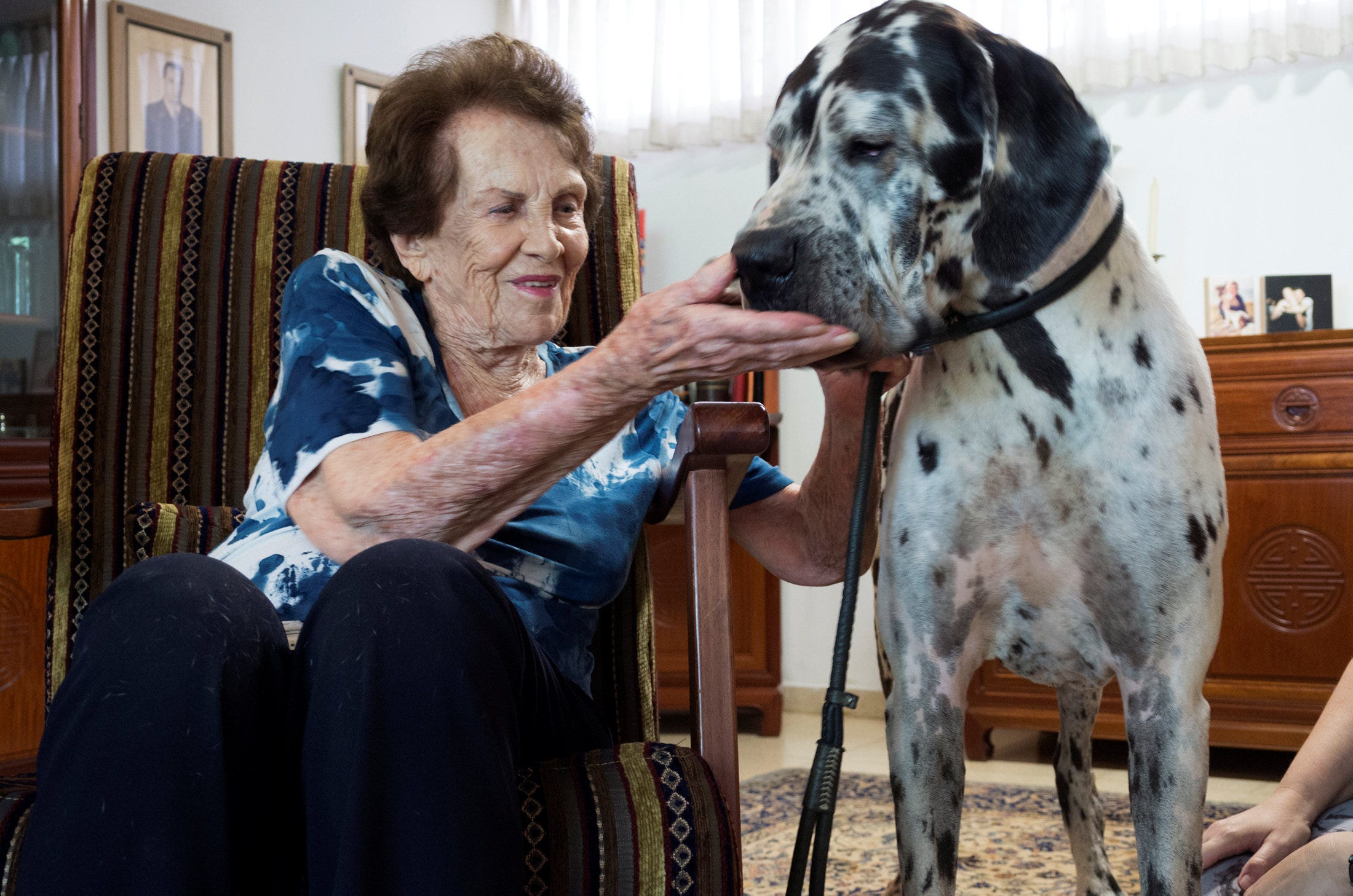 Holocaust survivor owes her life to a Nazi officer’s Great Dane