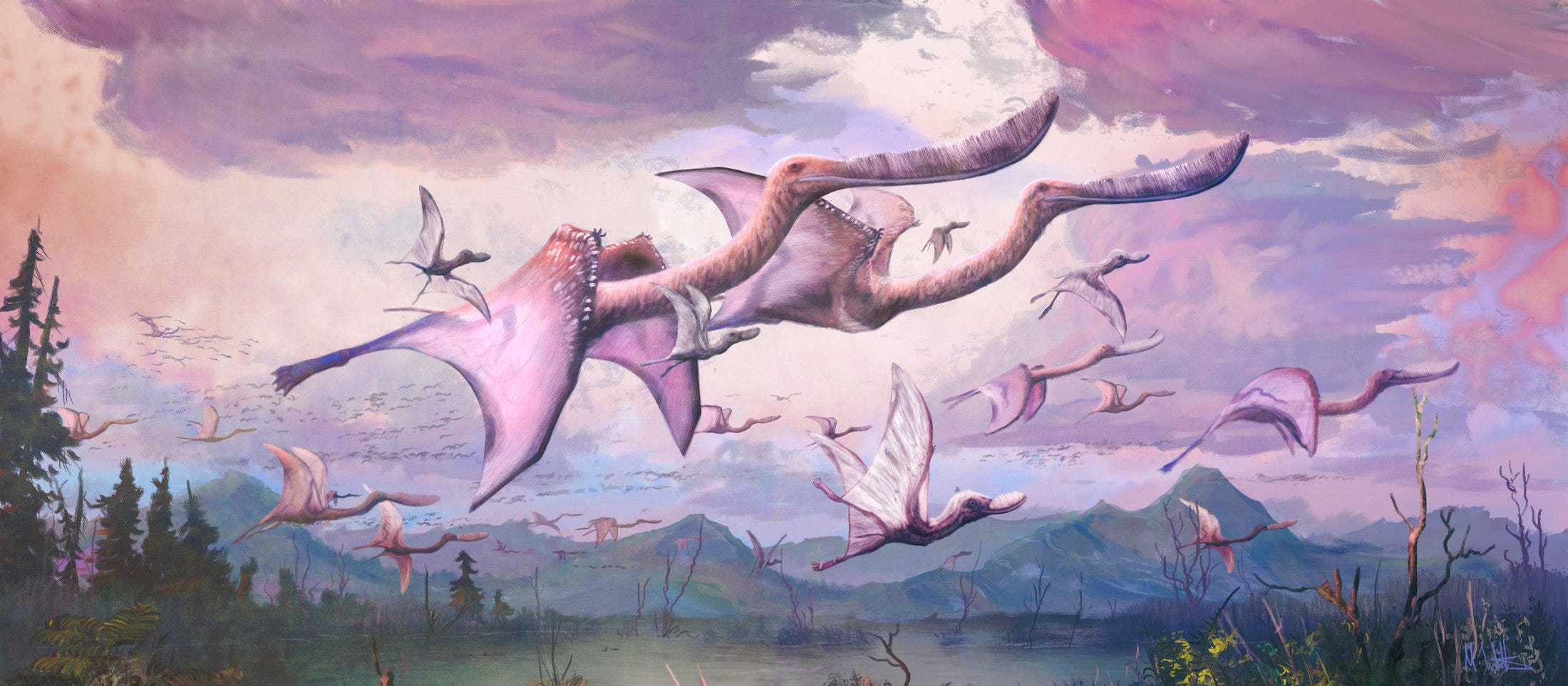 New Study Suggests Baby Pterosaurs Could Fly - Science & Health - Vimarsana News