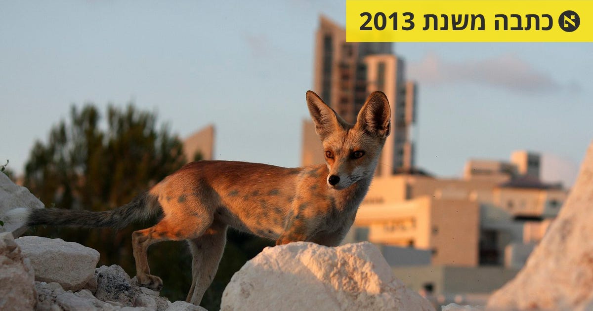 סיפור של אי־יופי - הקצה