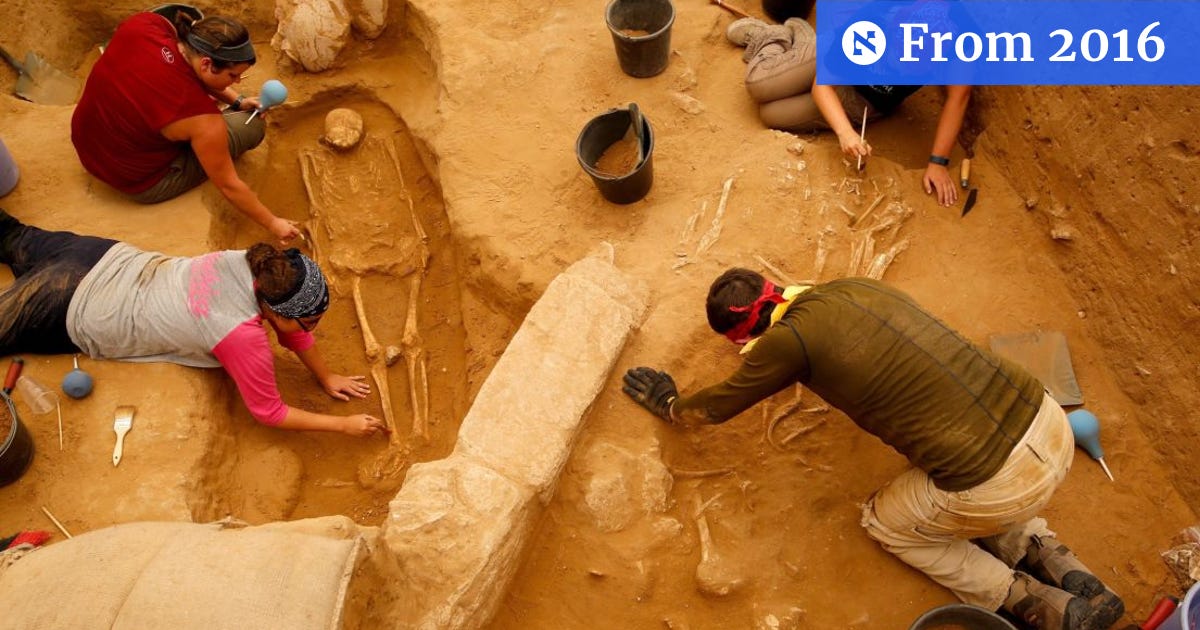 www.haaretz.com