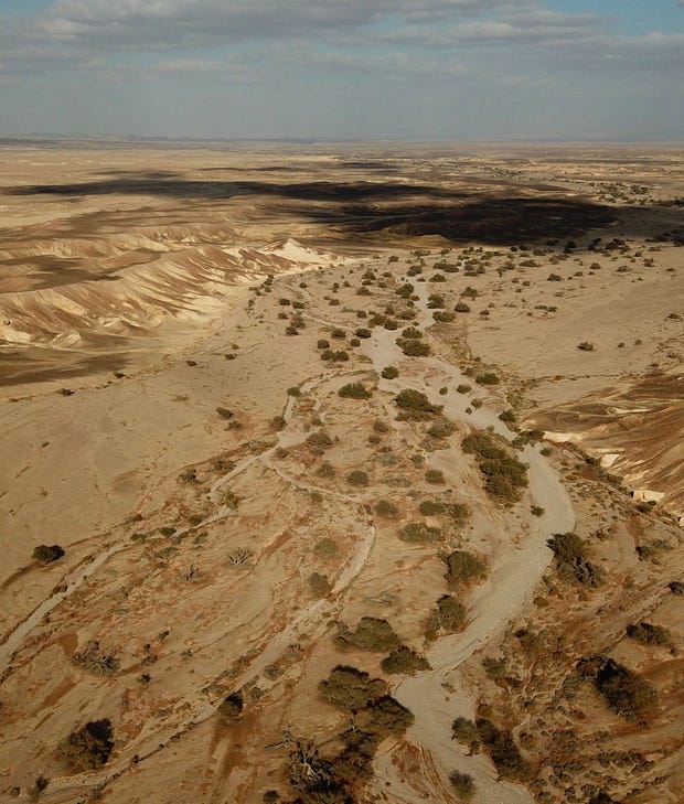 רגע בטבע: שמורת הנחלים הגדולים היא הדבר הקרוב ביותר לגיים דרייב אפריקאי ...