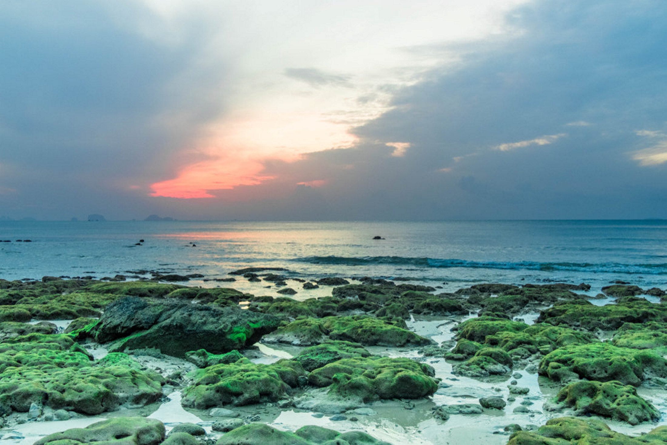 Earth Day 2019: Israeli Startup Aims to Save Planet From Thirst Using Algae - Vimarsana News