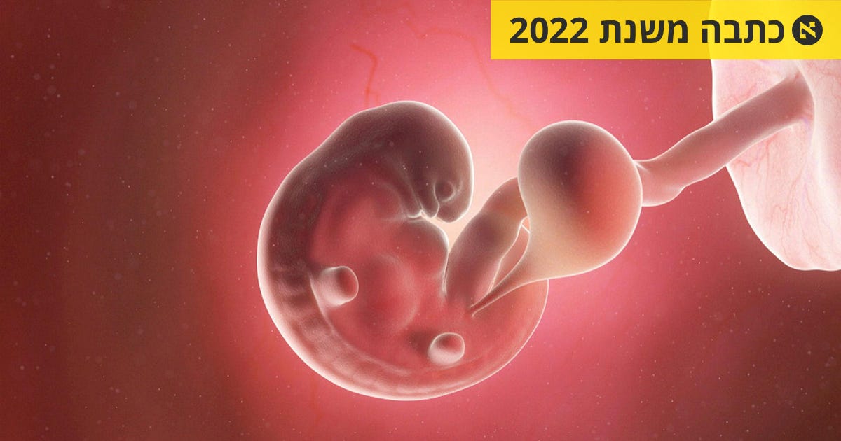 איך נראה עובר בתחילת ההיריון ומתי הוא יכול לשרוד מחוץ לרחם?- הארץ