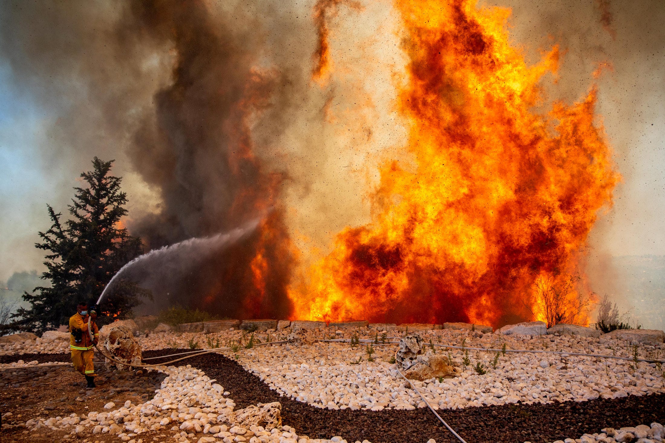 ?Climate crisis will lead to increase in unstoppable massive wildfires in Israel’