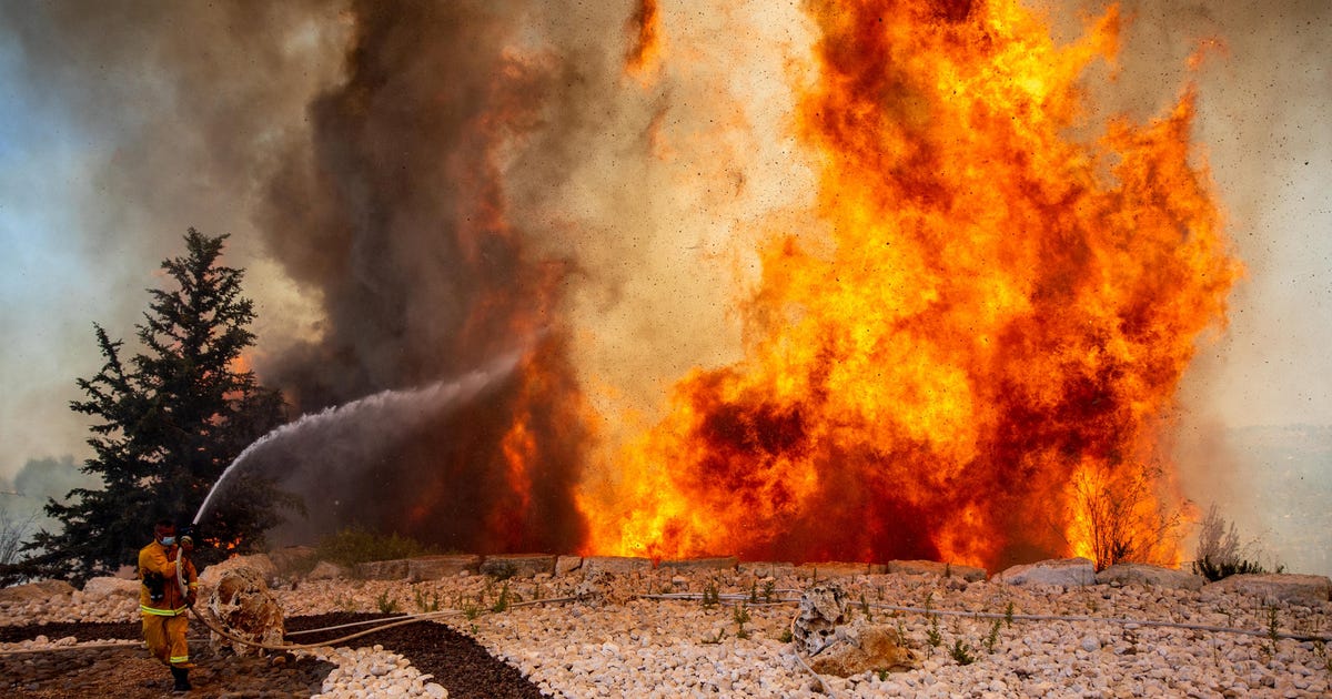 'Climate Crisis Will Lead to Increase in Unstoppable Massive Wildfires in Israel' - Israel News - Vimarsana News
