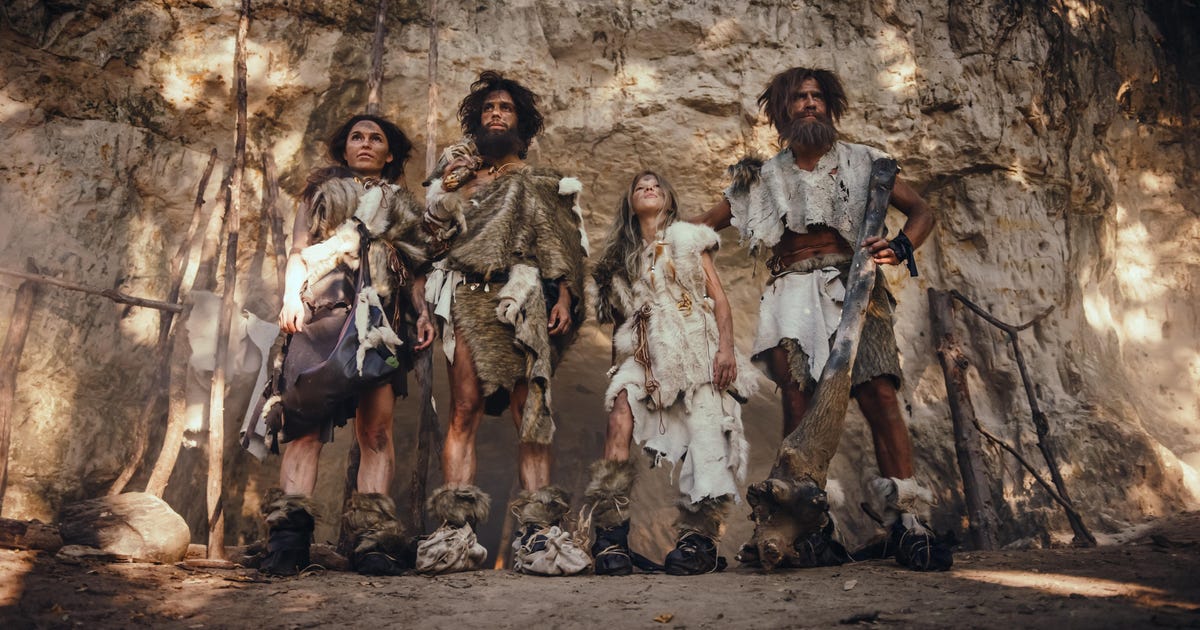Ancient DNA Provides First Insights Into Neanderthal Family - Archaeology - Vimarsana News