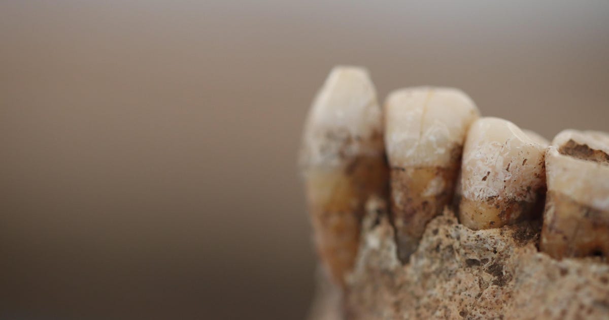 New Study Shows the Evolution of Eating in Italy - Archaeology - Vimarsana News