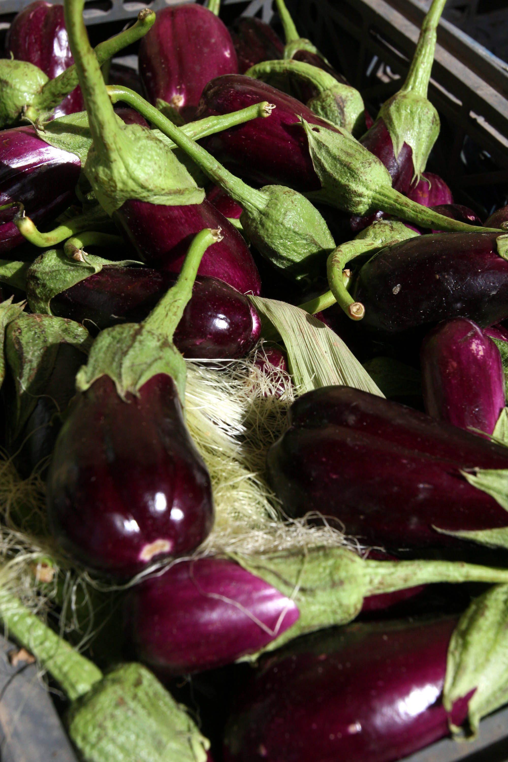How ‘Baladi’ Became the Star of Israeli Cuisine and a Key to ...