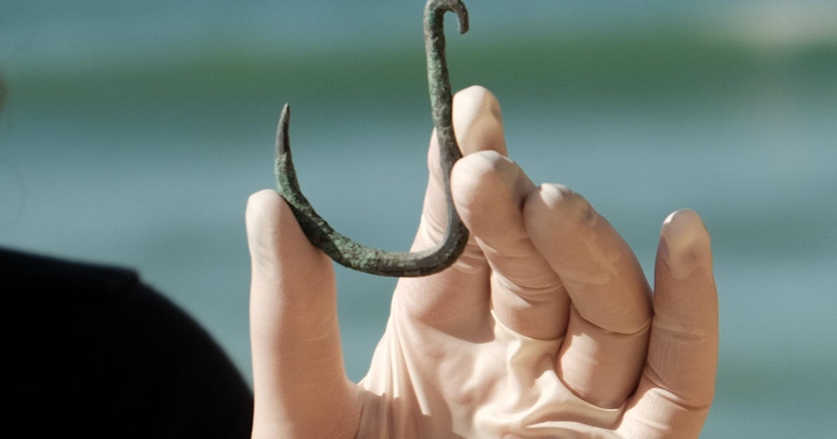 Israeli Archaeologists Find 6000-year-old Metal Fishhook, and It's for Sharks - Archaeology - Vimarsana News