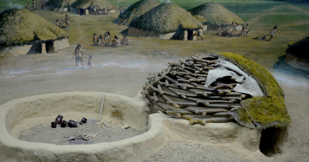 What Drove Humans to Settle? Israeli Researchers Offer New Paradigm for Neolithic Puzzle - Archaeology - Vimarsana News