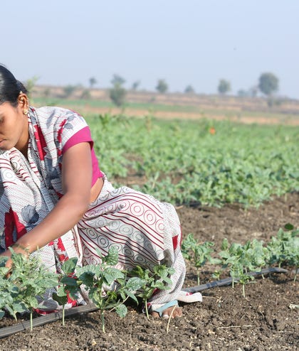 Commuinty Irrigattion farmer in Ramathal India. Commuinty Irrigattion farmer in Ramathal India