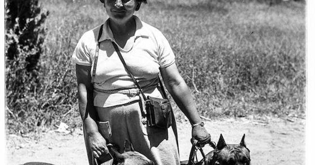 The Dogs of War That Helped the Early Zionist Enterprise Survive - Israel News - Vimarsana News