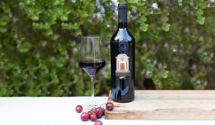 WEWINES: מגישים את אירופה בבקבוק. צילום: רעות פיליפוביץ WEWINES: מגישים את אירופה בבקבוק