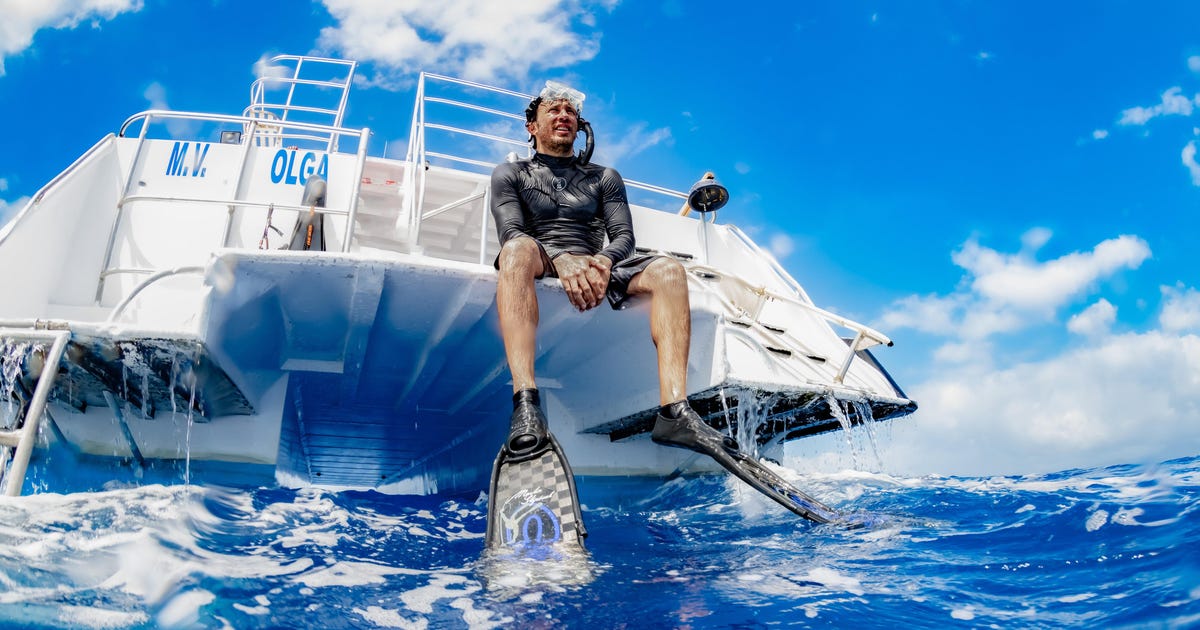 Swimming With Whales? This Guy Wants to Talk With Them - Life & Culture - Vimarsana News