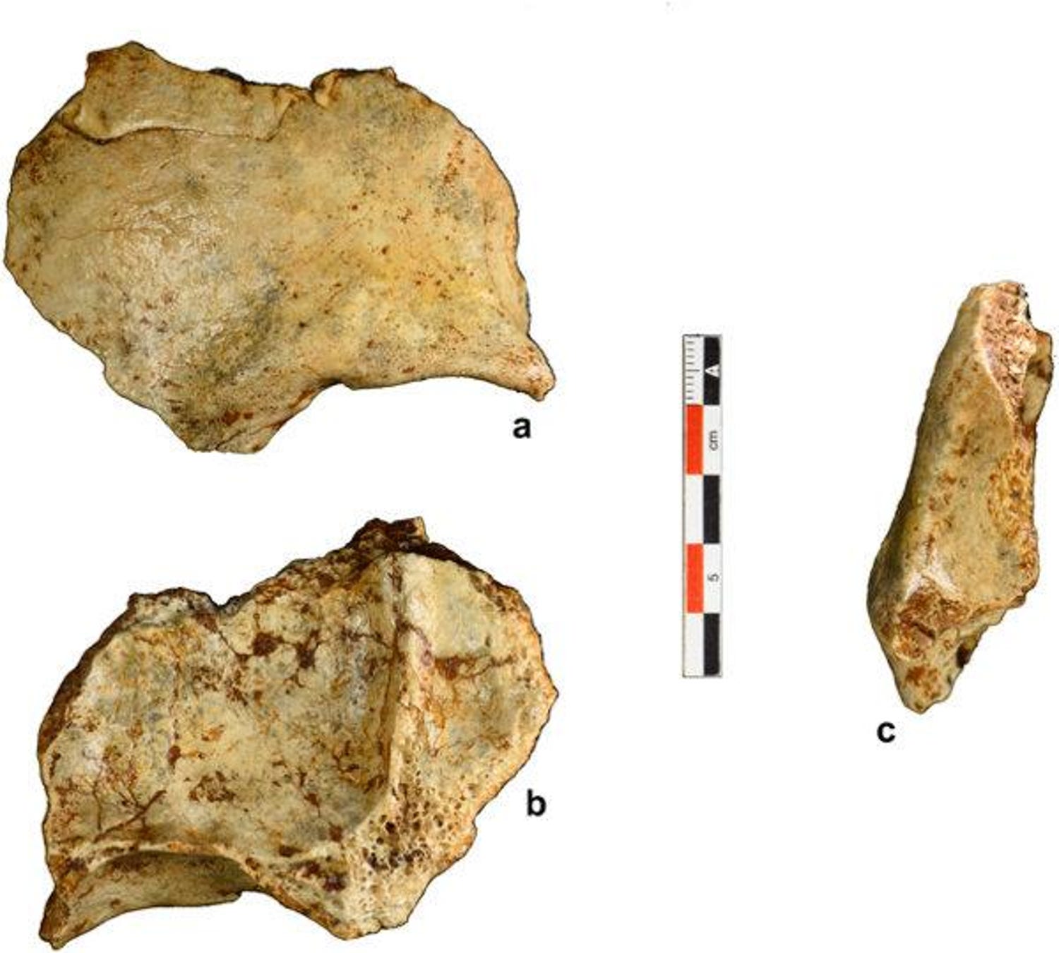 Early Modern Humans From 86,000 Years Ago Found in Laos - Archaeology