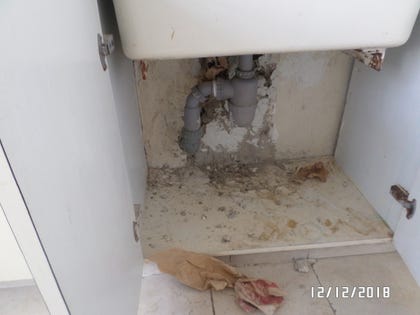 "הוצאתי אלפי דוחות וחוות דעת ממוסדות ועד אנשים פרטיים"