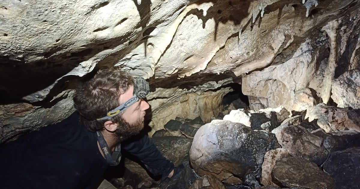 Cave in Israel Used to Contact the Dead in Roman Times, Archaeologists Suggest - Archaeology - Vimarsana News