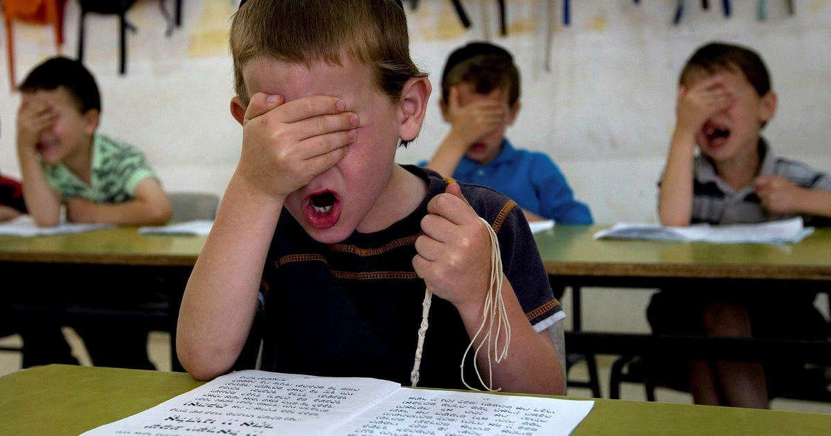 Israeli Education Ministry Retreats From Plan Advancing Core Studies in Haredi Schools - Israel News - Vimarsana News
