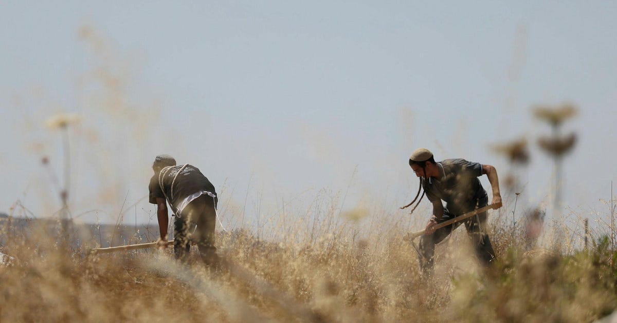 What Were Israeli Settlers Truly Looking for in Burqa on This Deadly Friday? - Israel News - Vimarsana News
