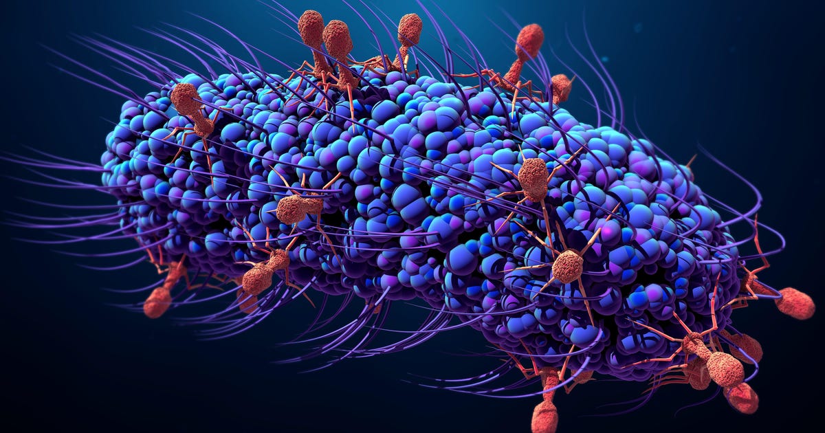 Israeli-led Team Crushes Antibiotic-resistant Disease With Virus Therapy - Science & Health - Vimarsana News
