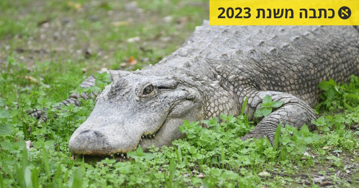 מחקר גילה כי תנינים מגיבים לבכי של חיות אחרות, ולא בהכרח מתוך אמפתיה ...