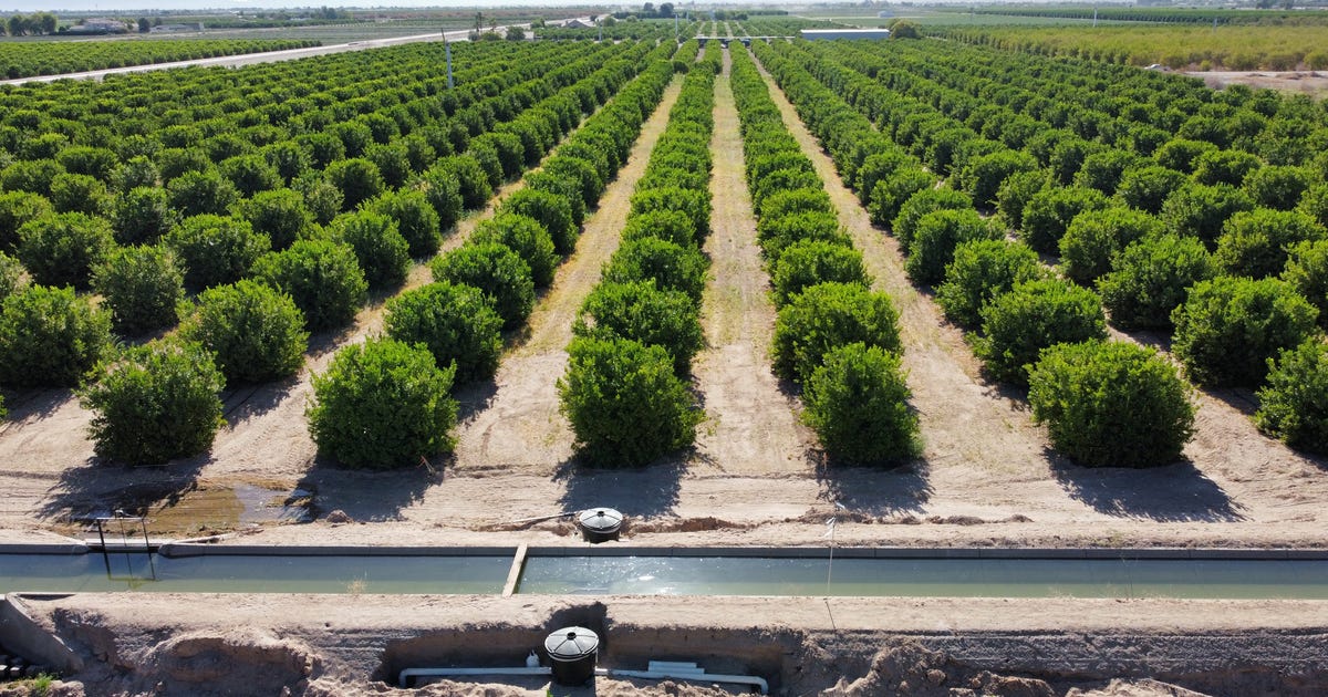 How Israel Achieved One of the Most Secure Water Economies, Drip by Drip - Nature & Environment - Vimarsana News