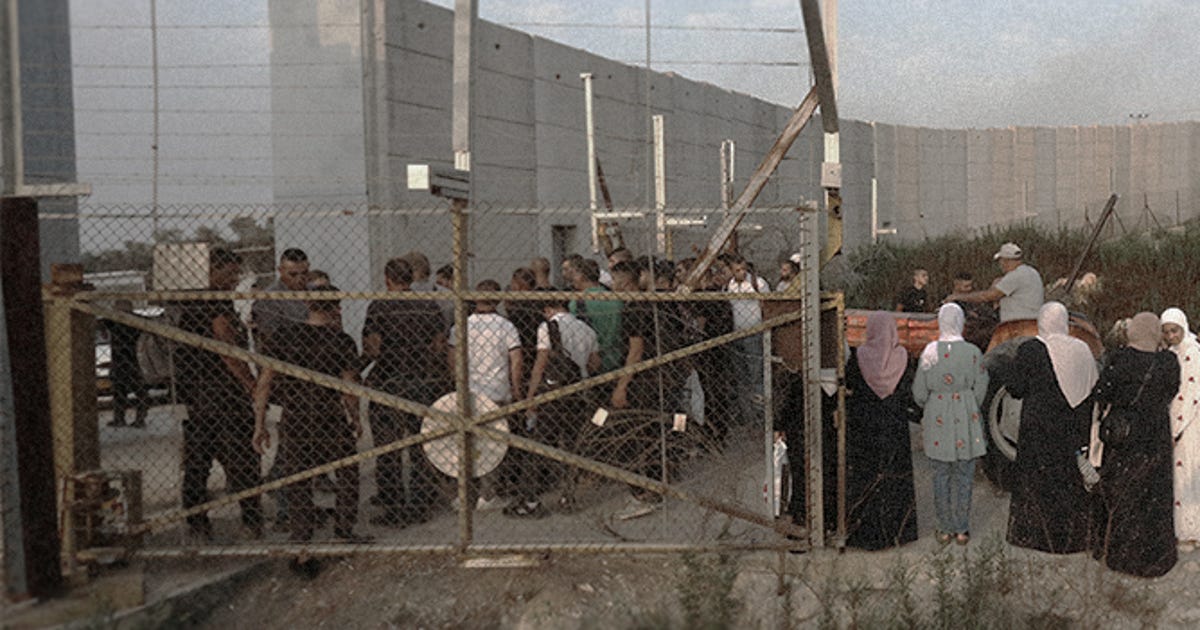 Should These Palestinians Have Access to Their Land Only Twice a Year? - Israel News - Vimarsana News