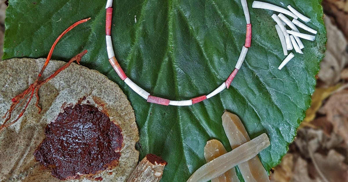 Archaeologists Discover Earliest Use of Vegan Dye in Israeli Cave - Archaeology - Vimarsana News