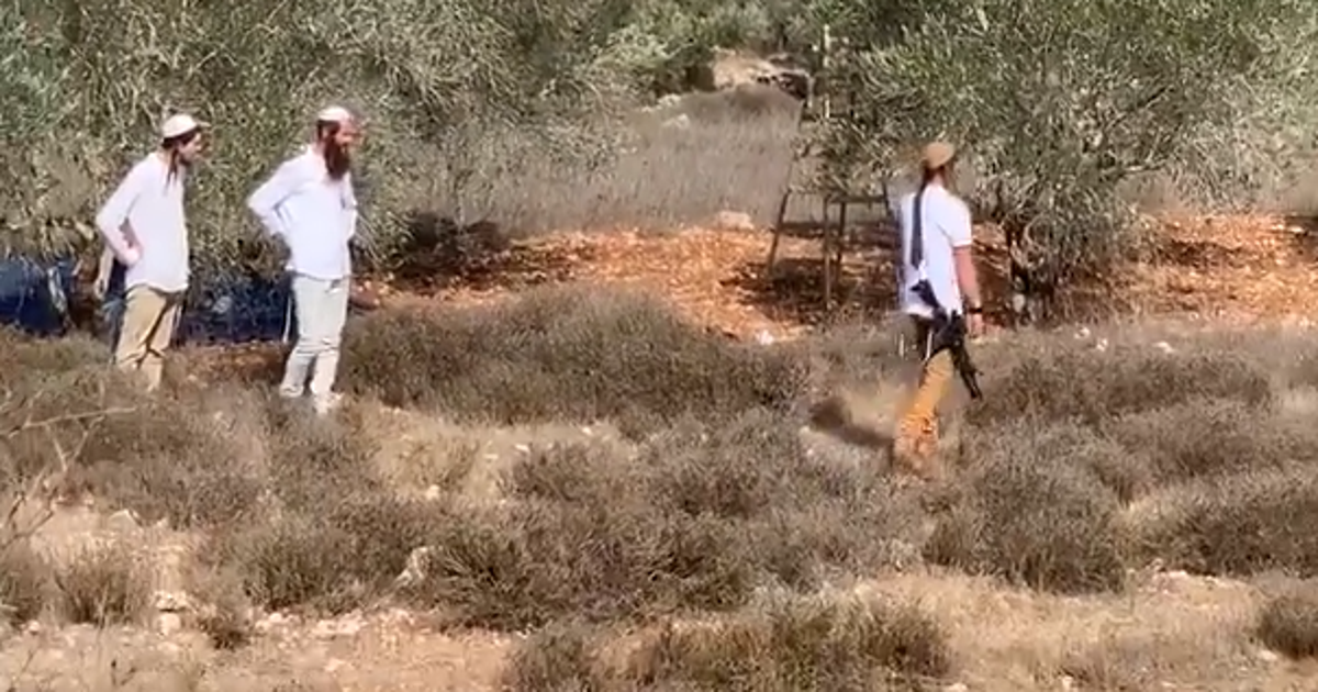 Israel's Army Plans to Recruit Settlers With No IDF Experience to Defend Ultra-orthodox West Bank Settlements - Israel News - Vimarsana News