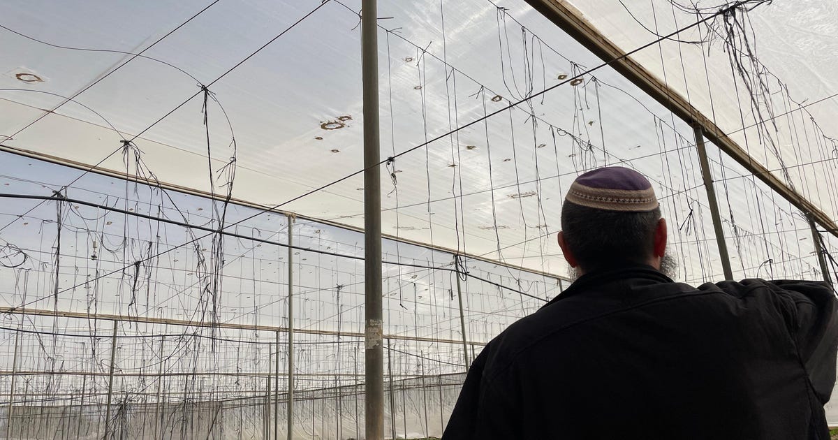 Israeli Farmers Are Watching Their Life's Work Being Destroyed - Israel News - Vimarsana News