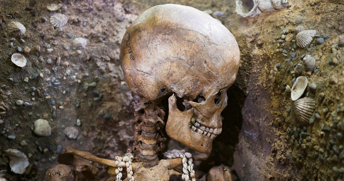 Who Are Western Europeans? New Study Reveals True Origins - Archaeology - Vimarsana News