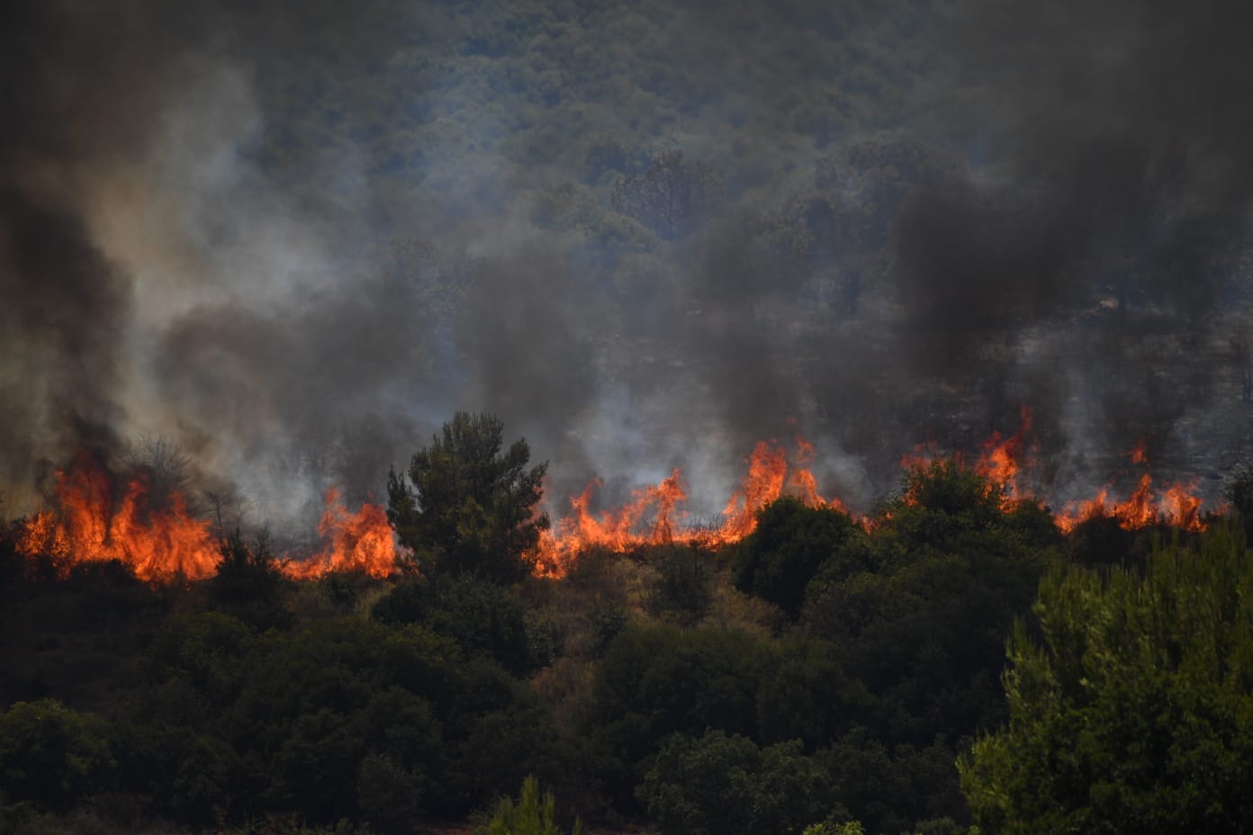 IDF Says Hezbollah Fired Over 200 Rockets at Israel's North as Border Hostilities Peak - Israel News - Vimarsana News
