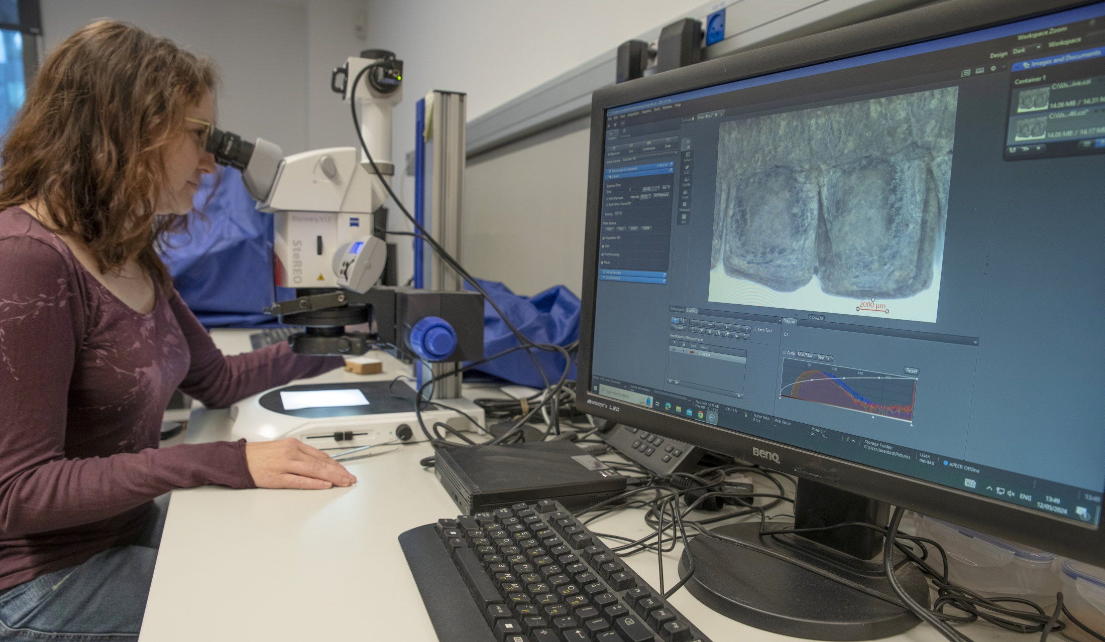 Researchers Deduce True Color of Ancient Tefillin Cases in Second Temple Period - Archaeology - Vimarsana News