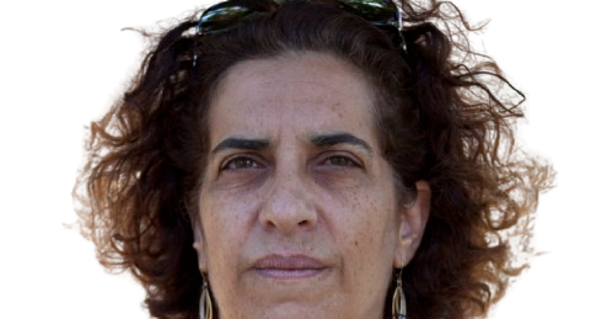 אילה לוי - הארץ