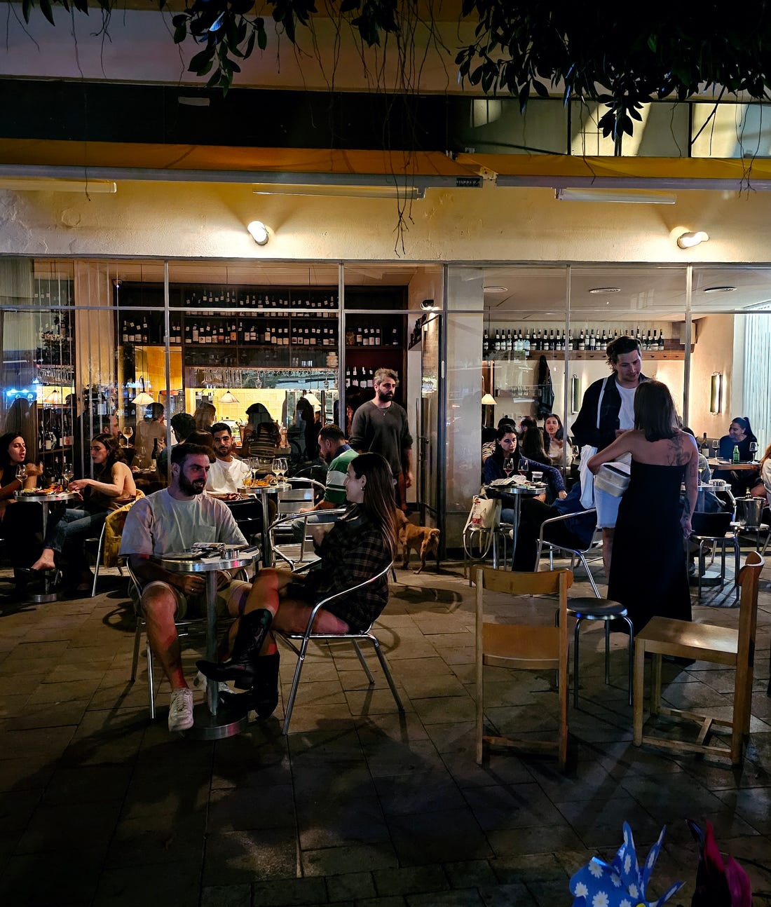 בוב: קנטינת יין שמפצחת את הנוסחה - אוכל - הארץ