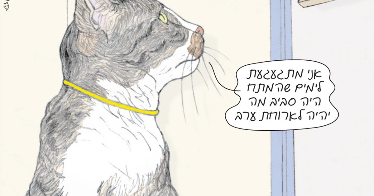 פינת ליטוף - פינת ליטוף - הארץ