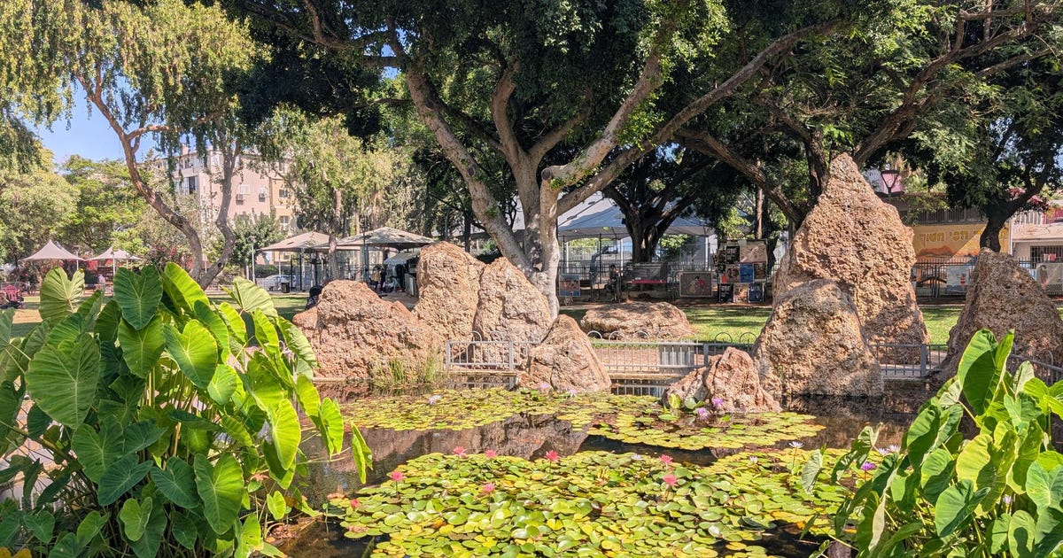 ימים טובים תמיד באים ומחליפים ימים מרים - תרבות וספרות - הארץ