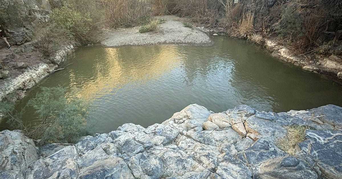 יפה, פראי ועדיין חם: זה הזמן לטבילה אחרונה בנחל תבור - טיולים בישראל - הארץ