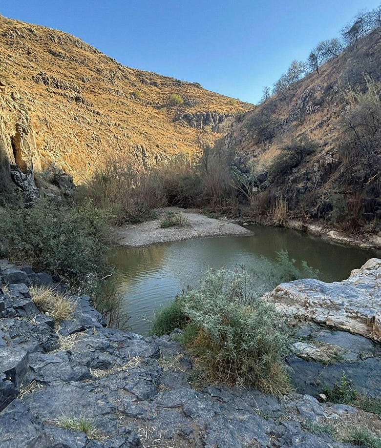 יפה, פראי ועדיין חם: זה הזמן לטבילה אחרונה בנחל תבור - טיולים בישראל - הארץ