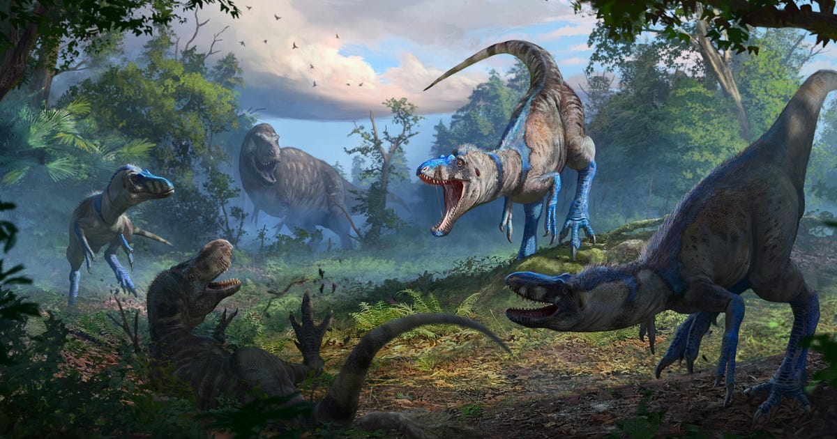 ‘Teenage T. rex’ wasn’t a tyrannosaur, new study proves