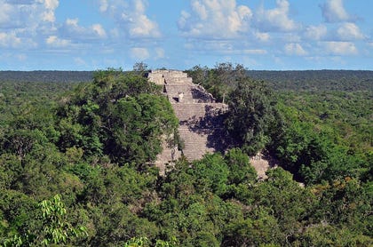 Pirámide maya de Calakmul, México