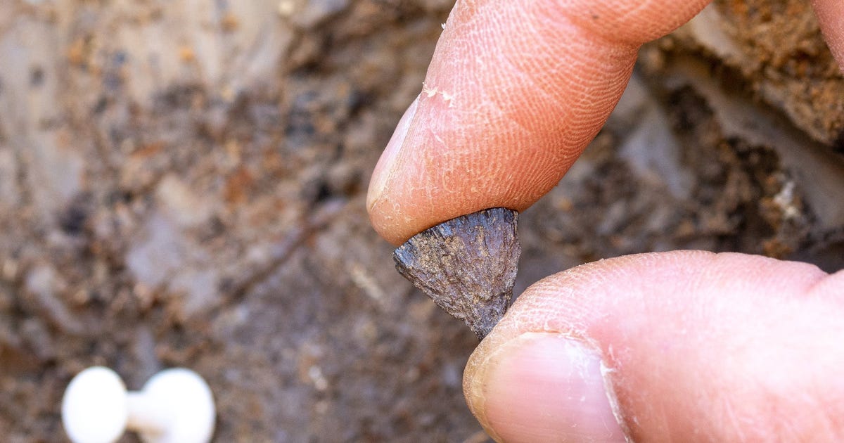Frühe Menschen entzündeten vor 400.000 Jahren in England Feuer.