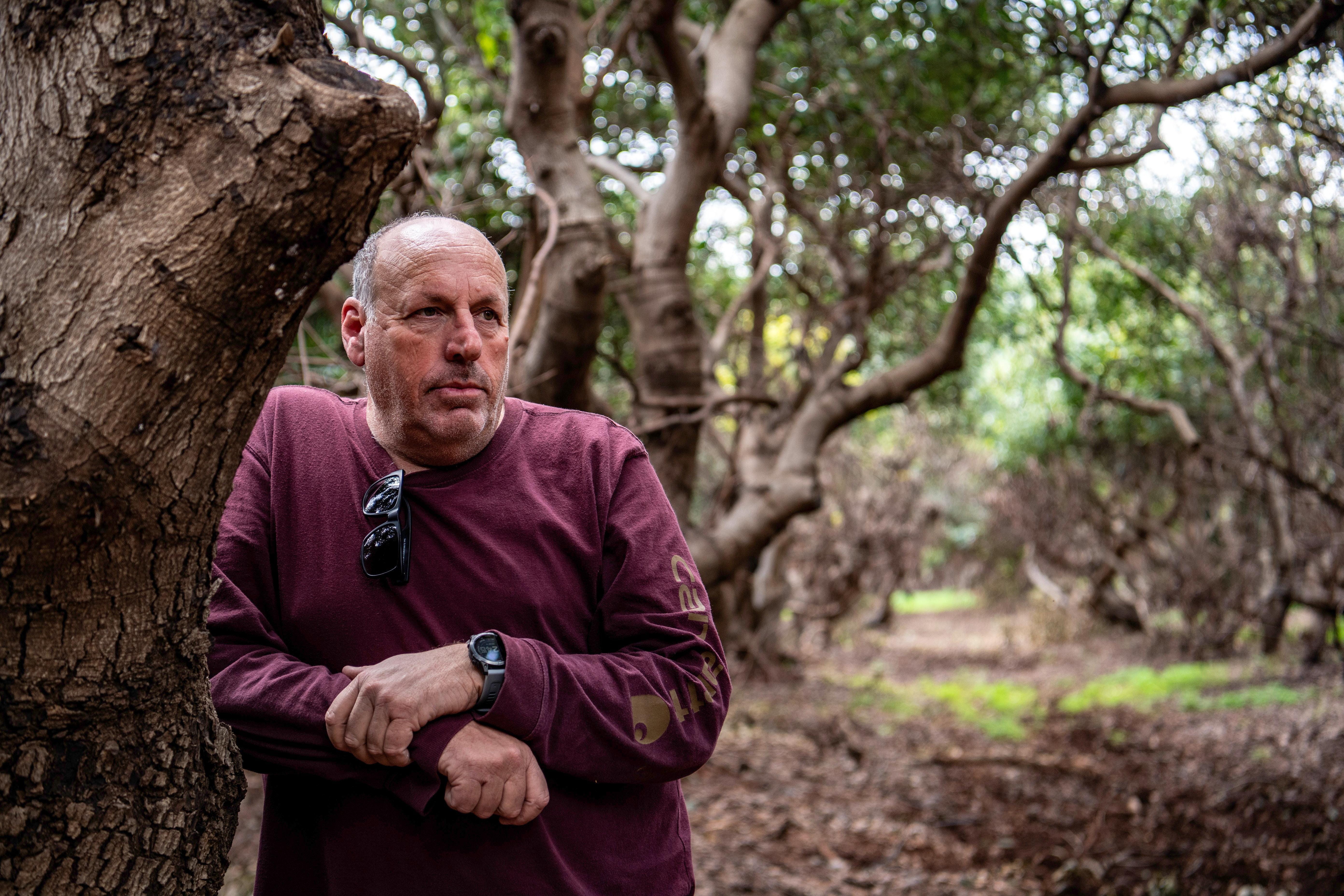 צבי בר-נר - הארץ