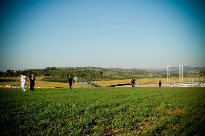 The wheat field that replaced the chickpea field near Neve Shalom, 2006. Credit: Oren Levin The wheat field that replaced the chickpea field near Neve Shalom, 2006.