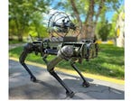 רובוט כלב של חברת רובוטיכאן | צילום:  Ghost Robotics