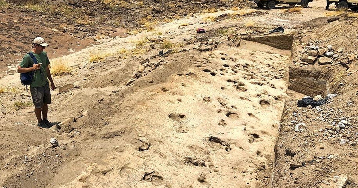 Anomalous footprints made 1.43 million years ago in Kenya puzzle archaeologists