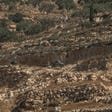הכפר אל־מע'ייר, ביוני. לפי הדיווחים, שלושה צעירים פלסטינים נעצרו בידי הצבא. צילום: איתי רון הכפר אל־מע'ייר, ביוני. לפי הדיווחים, שלושה צעירים פלסטינים נעצרו בידי הצבא